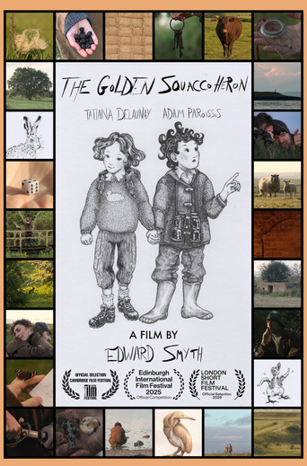 The Golden Squacco Heron movie poster