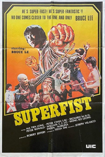 Superfist movie poster