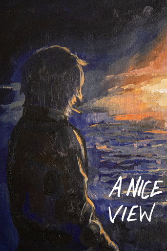 A Nice View movie poster