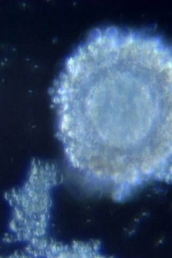 Fertilization in Video movie poster