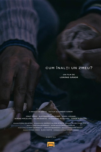 How to Fly a Kite? movie poster