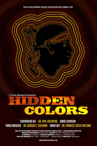 Hidden Colors movie poster