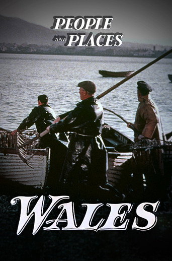Wales movie poster