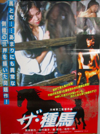The Stallion movie poster