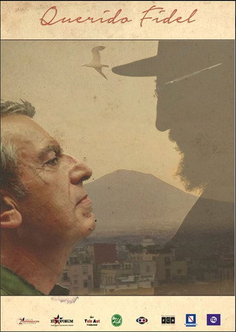 Querido Fidel movie poster