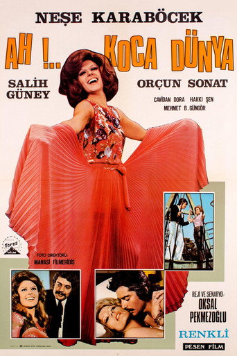 Ah Koca Dünya movie poster