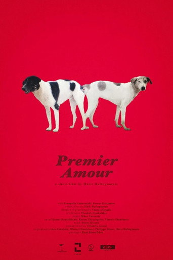 Premier Amour movie poster