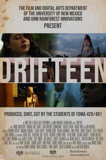 Drifteen movie poster