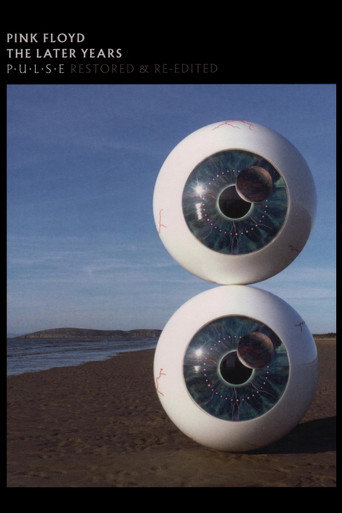 Pink Floyd: The Later Years, Vol 3 - Pulse movie poster
