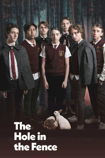 The Hole in the Fence movie poster