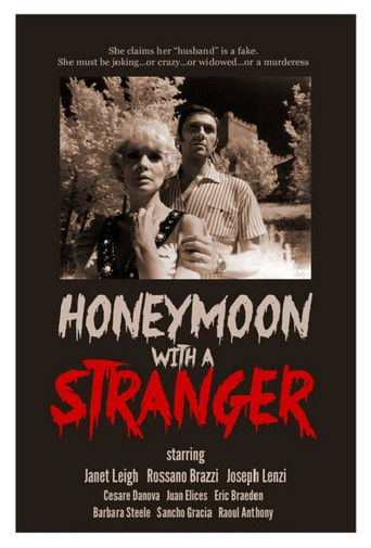 Honeymoon with a Stranger movie poster