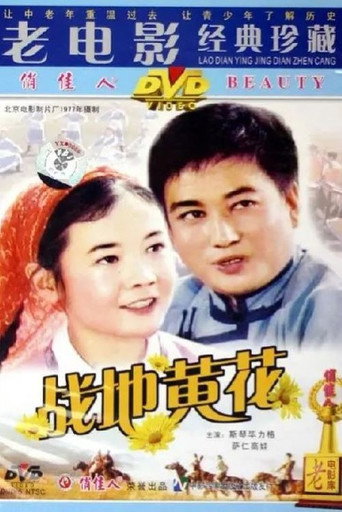 战地黄花 movie poster
