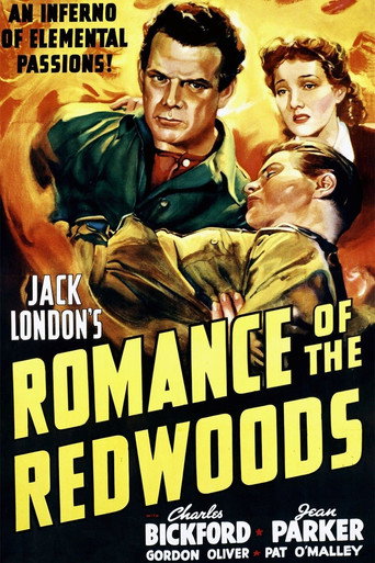 Romance of the Redwoods movie poster