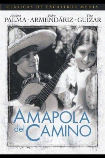 Amapola Del Camino movie poster