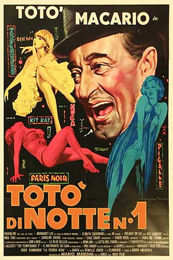 Toto at Night movie poster