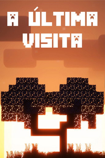 A Última Visita movie poster