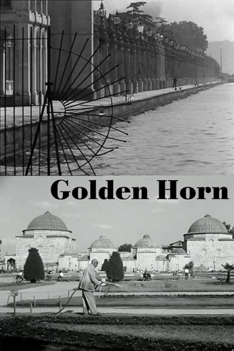 Golden Horn movie poster