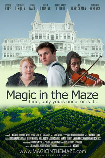 Magic in the Maze movie poster