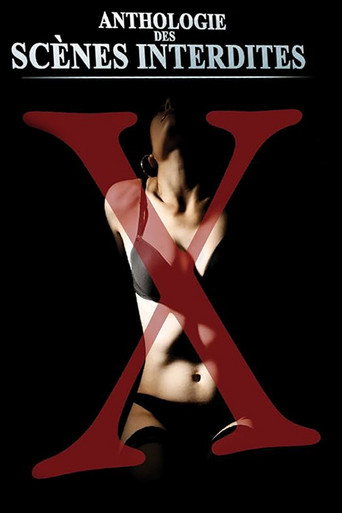 Anthologie des scènes interdites érotiques et pornographiques de José Bénazéraf movie poster