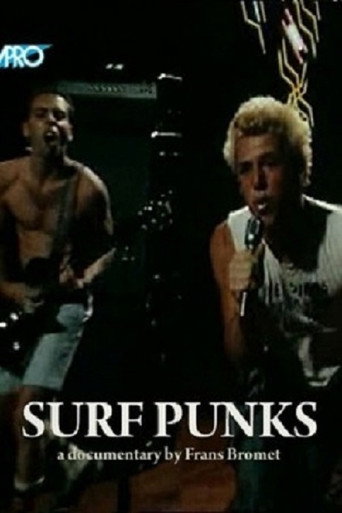Surf Punks movie poster
