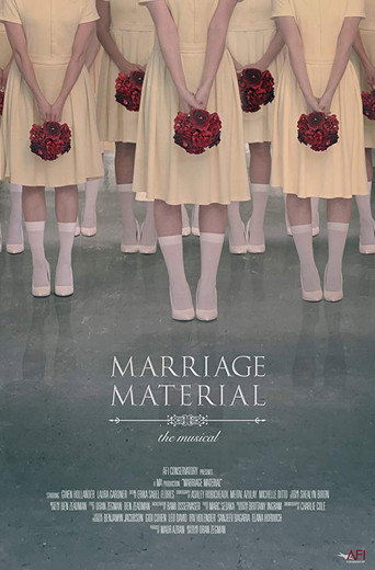 Marriage Material movie poster