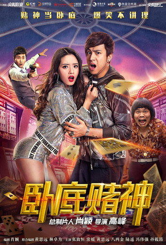 The Undercover Hero movie poster