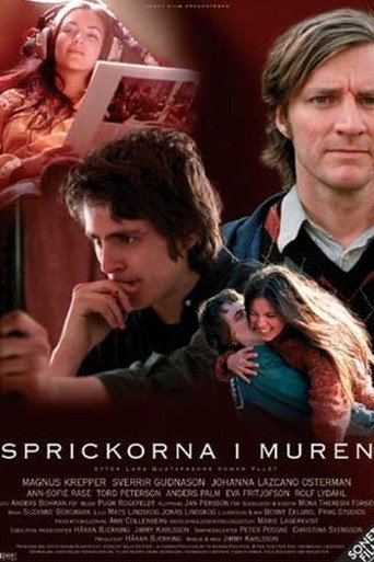 A Breach in the Wall movie poster