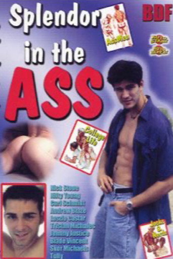 Splendor in the Ass movie poster