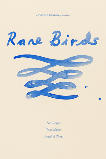 Rare Birds movie poster