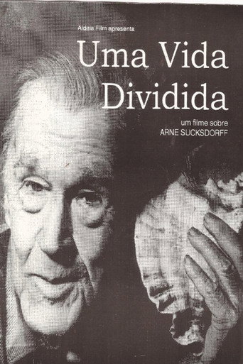Uma Vida Dividida movie poster