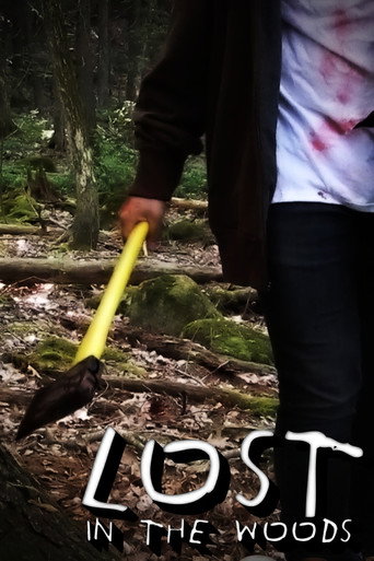 Lost In The Woods movie poster