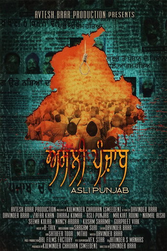 Asli Punjab movie poster