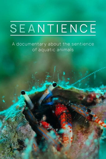 Seantience movie poster