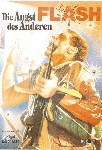 Flash movie poster