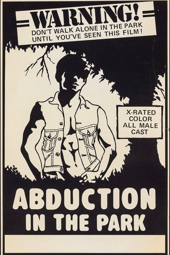 Abduction in the Park movie poster