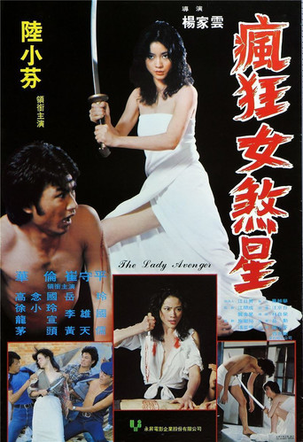 The Lady Avenger movie poster