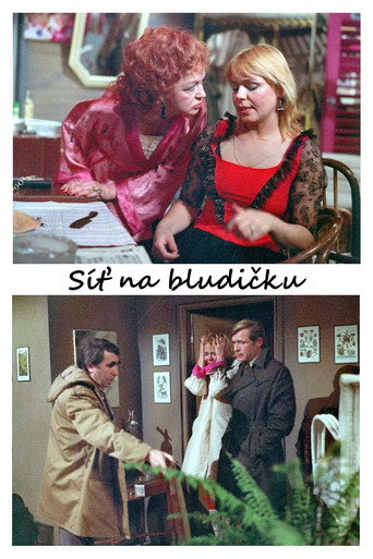 Síť na bludičku movie poster
