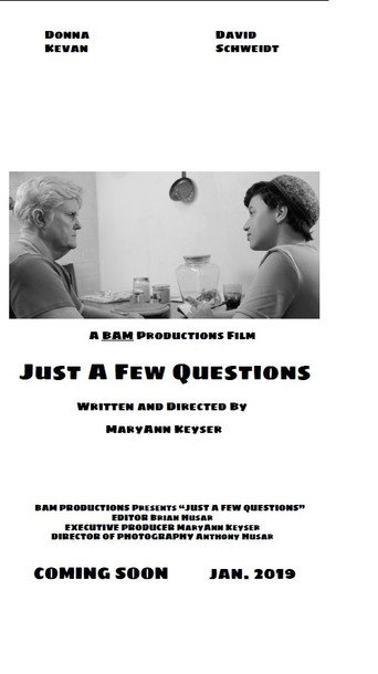 Just a Few Questions movie poster