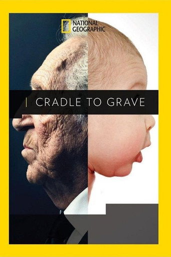 Cradle to Grave movie poster