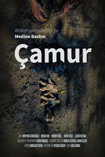 The Mud movie poster