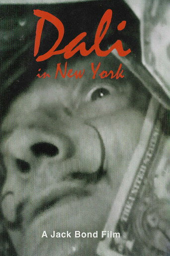 Dali In New York movie poster