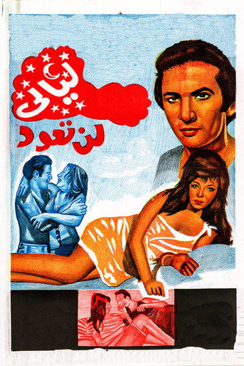 Nights that will never come back movie poster