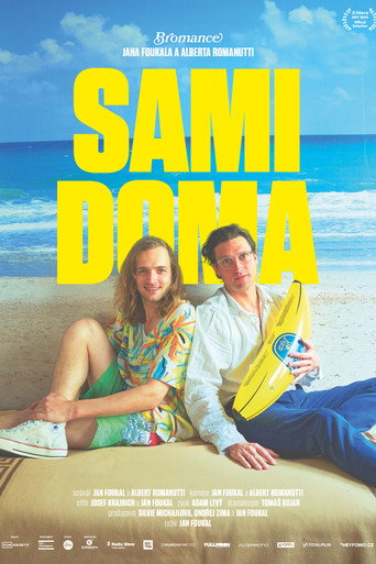 Homies movie poster