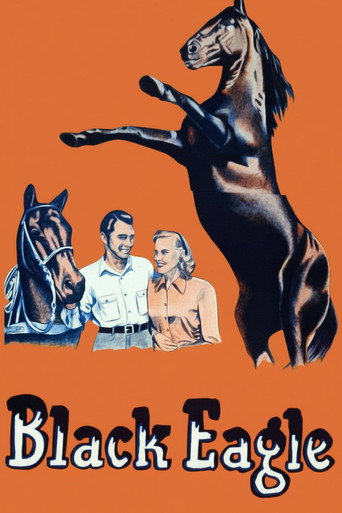 Black Eagle movie poster