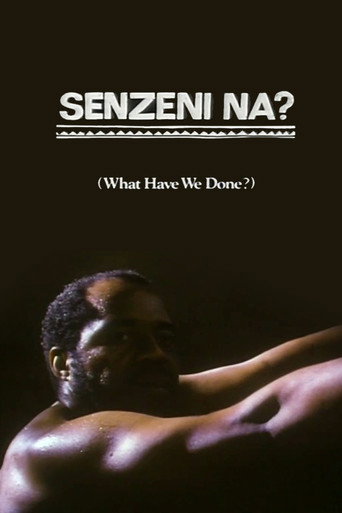 What Have We Done? movie poster