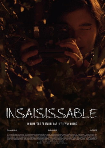 Insaisissable movie poster