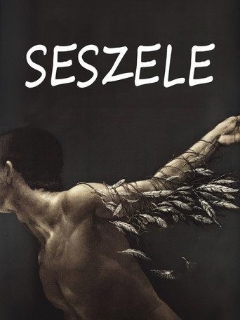 Seychelles movie poster
