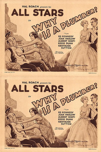 Why Is a Plumber? movie poster