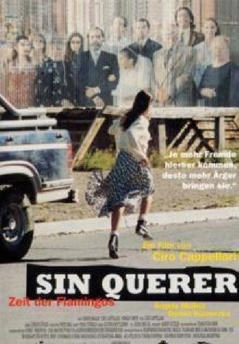 Sin querer movie poster