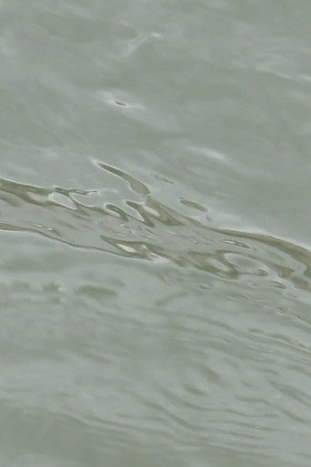 entre les vagues (un hommage) movie poster
